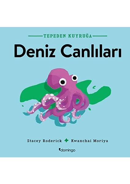 Tepeden Kuyruğa - Deniz Canlıları modelleri