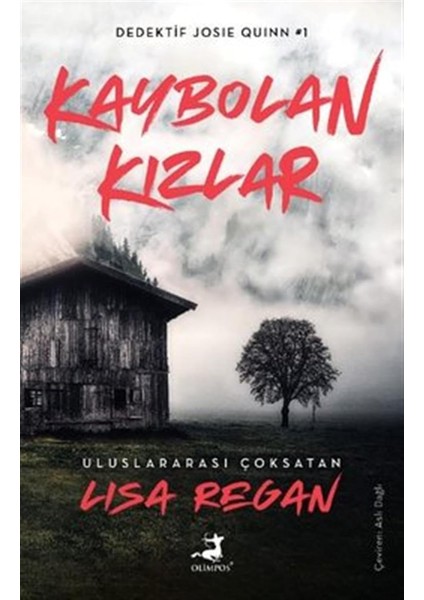 Kaybolan Kızlar: Dedektif Joise Quinn 1