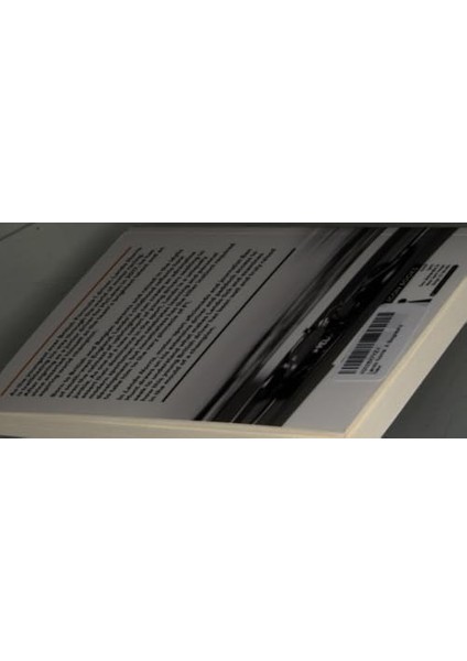 Lando Norris: A Biography