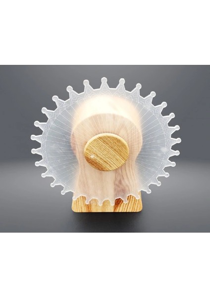 Dekoratif Işıklı Yel Değirmeni ( Lisinya )