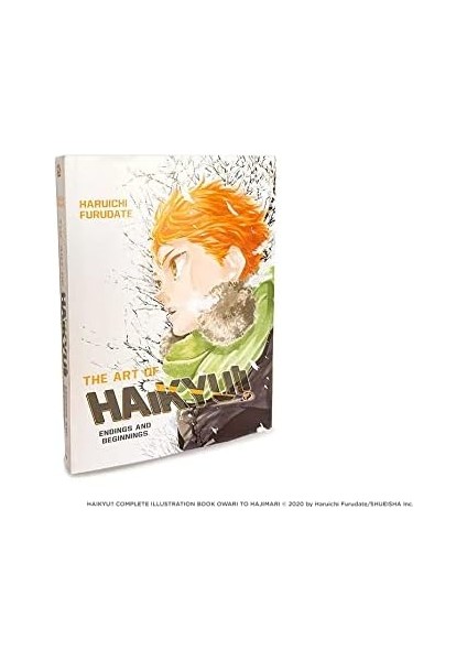 Art Of Haikyu!!: Endings And Beginnings modelleri