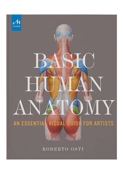 Basic Human Anatomy: An Essential Visual Guide For Artists
