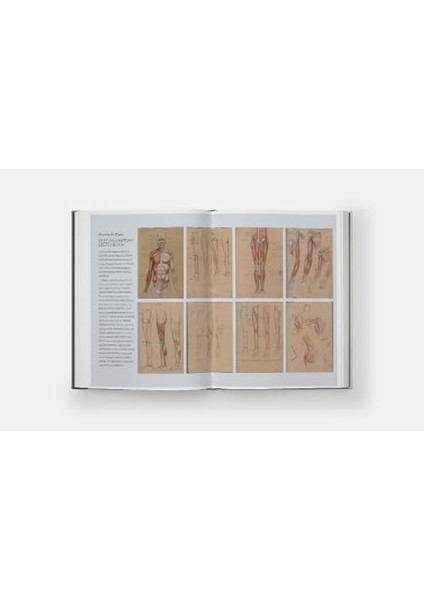Basic Human Anatomy: An Essential Visual Guide For Artists fiyatları