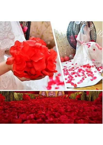 Kırmızı Renk Gül Yaprağı – 1 Paket 100 Adet ( Lisinya ) modelleri