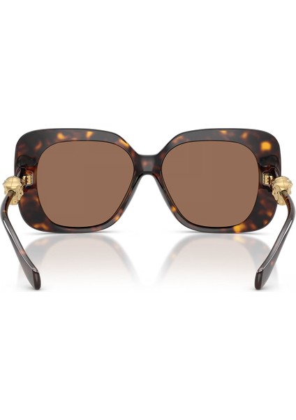 VE4499U 108 73 57 Kadın Güneş Gözlüğü fırsatları