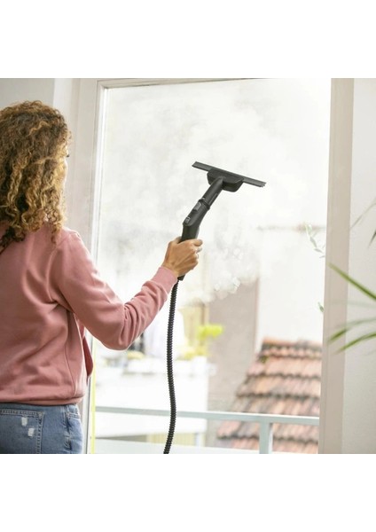 Buharlı Temizlik Cihazı ( Lisinya ) fiyatları