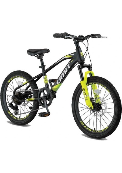 2013 Arcus 2d Erkek Çocuk Bisikleti 279H V 20 Jant 7 Vites Siyah Lıme