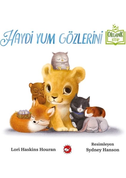 Haydi Yum Gözlerini