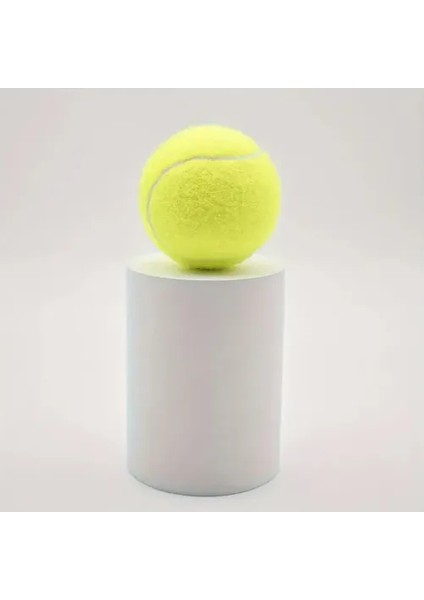 3'lü Köpek Oyun Tenis Topu indirimleri