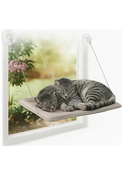 Petzoom Pencereye Monte Kedi Yatağı modelleri