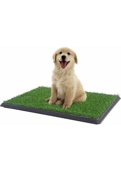 Pet Park Mini Yavru Köpek Tuvalet ve Eğitim Çiti modelleri