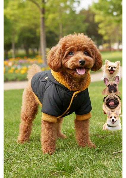 Midnight Design Köpek Montu KM - 101