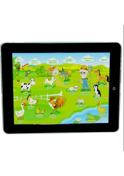 Eğitici Çiftlik Pad