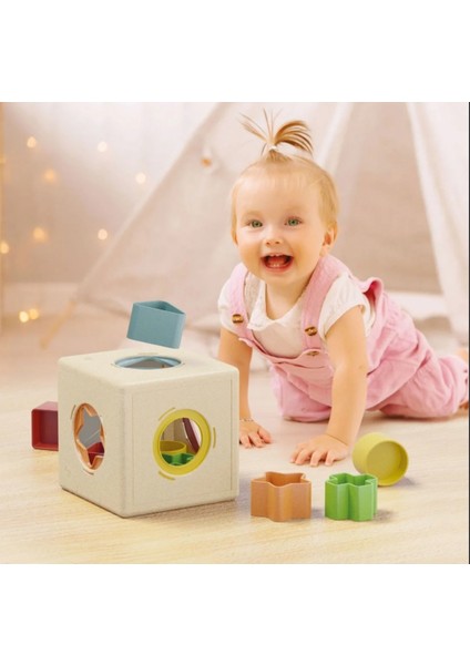 Quercetti Bultak fiyatları