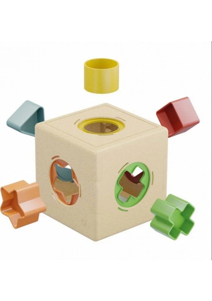 Quercetti Bultak modelleri