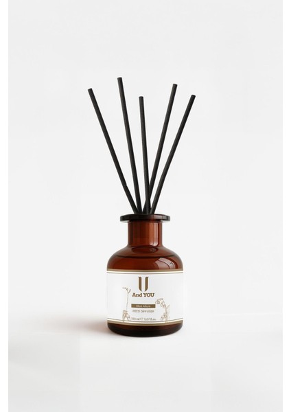 Lvsqvr And You Blue Allure Ortam Kokusu 150 ml