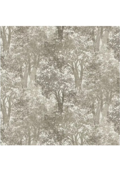 Sıra Ağaçlar Kahve Ton Duvar Kağıdı