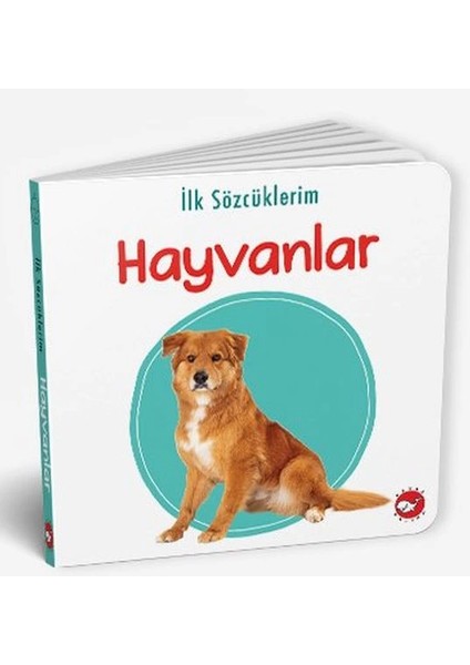 Ilk Sözcüklerim - Hayvanlar
