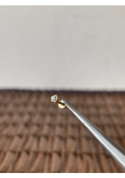 316 L Cerrahi Çelik Yıldız Tek Taş 6mm x 1.2mm Altın Labret Piercing fiyatları
