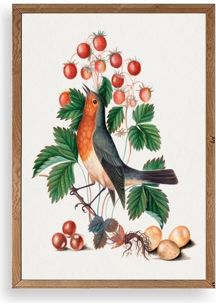 Daldaki Kuş Ahşap Çerçeveli Tablo