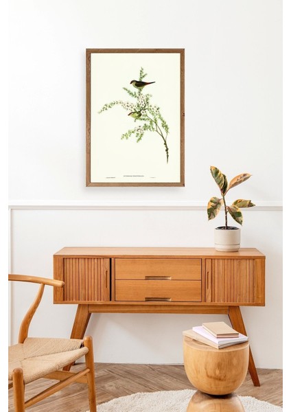 Daldaki Kuş Ahşap Çerçeveli Tablo modelleri