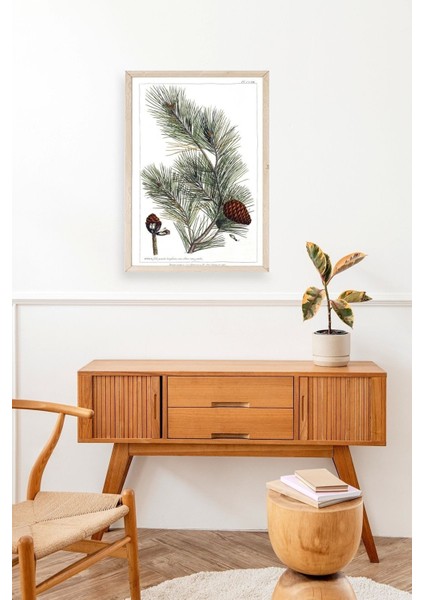 Çam Ahşap Çerçeveli Tablo modelleri