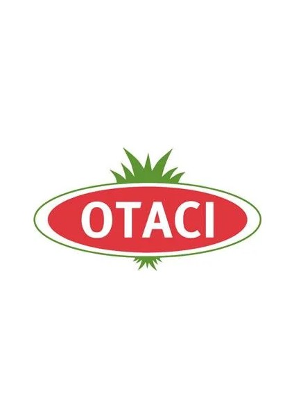 Pastisin Zencefil Portakal Bitkisel Pastil fiyatları