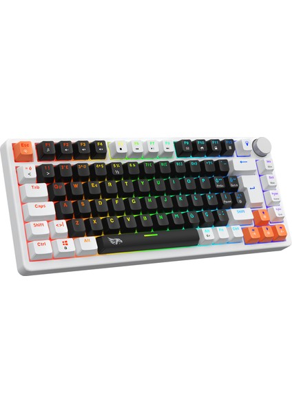 Strike Compact V2 Rainbow Kablolu TR Layout Mekanik Oyuncu Klavyesi Blue Switch Siyah fiyatları