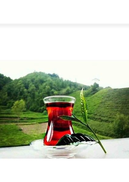 Ezberbozan Çay 5 kg modelleri