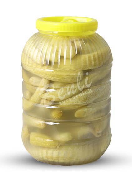 Benli Turşu Acur Turşusu - 5 kg fiyatları