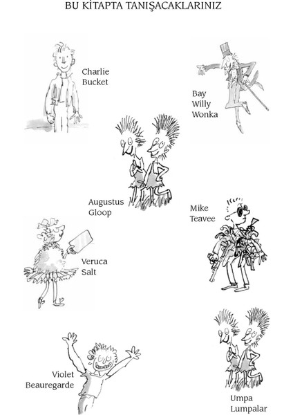 Charlie'nin Çikolata Fabrikası - Roald Dahl fiyatları