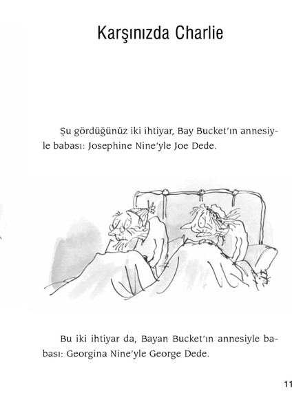 Charlie'nin Çikolata Fabrikası - Roald Dahl modelleri