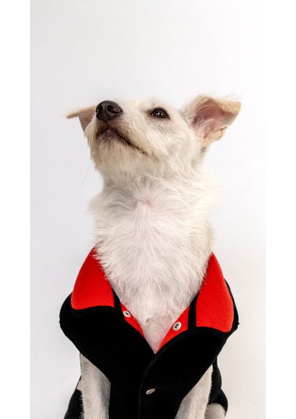 Köpek Polar Yelek / Siyah-Kırmızı modelleri