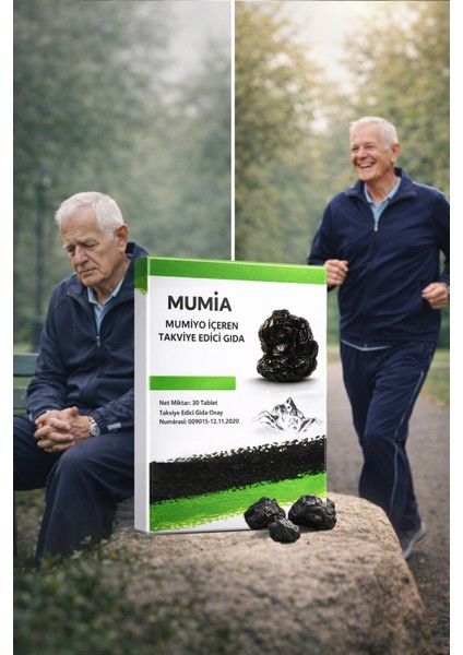 (Shilajit) Saf 30'lu Tablet 3'lü Set fırsatları