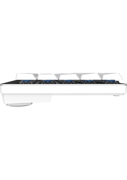 EK868 White %65 Blue Low-Profile Switch Bluetooth Ingilizce Mekanik Gaming Klavye indirimleri