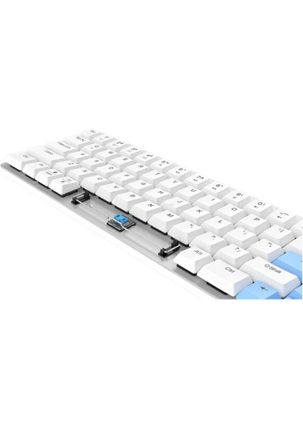 EK868 White %65 Blue Low-Profile Switch Bluetooth Ingilizce Mekanik Gaming Klavye