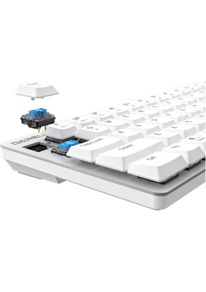 EK868 White %65 Blue Low-Profile Switch Bluetooth Ingilizce Mekanik Gaming Klavye