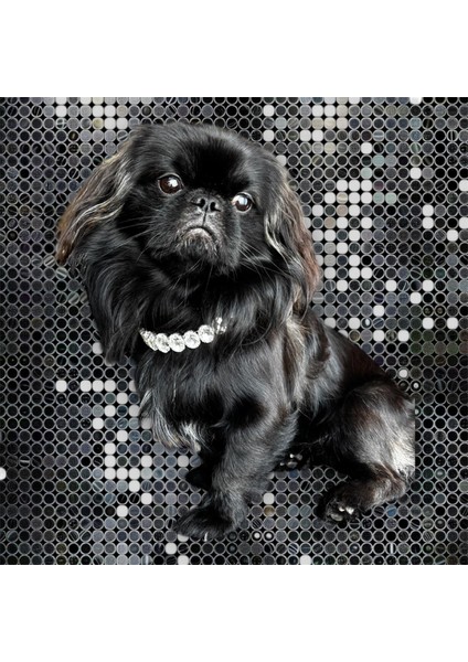 Kedi & Köpek Kristal Taşlı Kolye modelleri