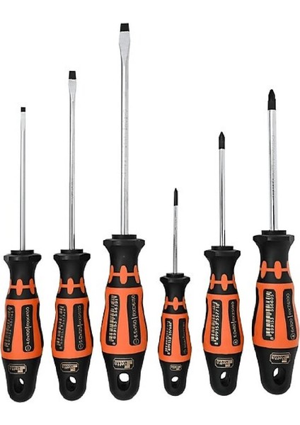 RXS6200 Yıldız Tornavida Seti 6 Parça Rx Seri modelleri