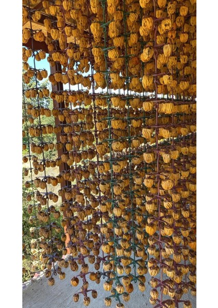 Cennet Hurması Kurusu | 10 kg fırsatları