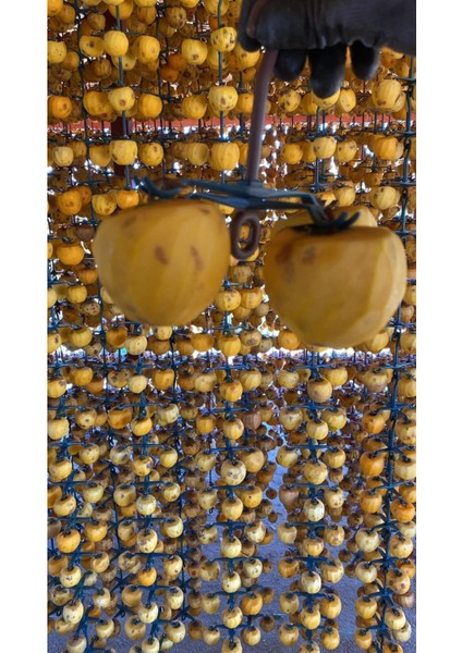 Cennet Hurması Kurusu | 10 kg