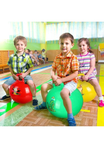 Kulplu Zıplama ve Pilates Topu fiyatları