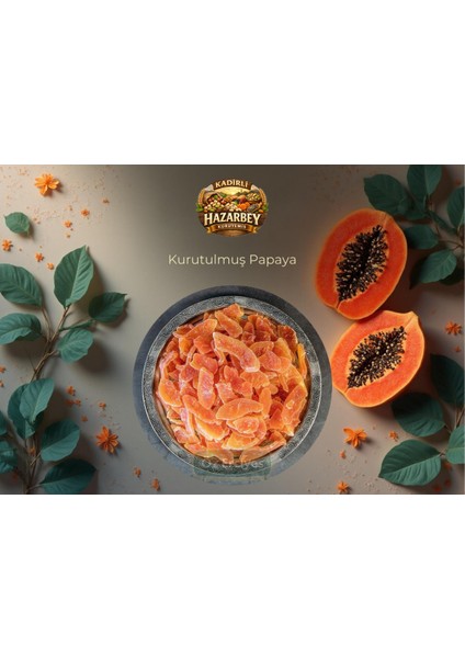 Kurutulmuş Papaya 100 gr fiyatları