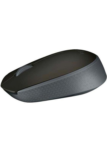 M171 Kablosuz Usb Siyah Mouse