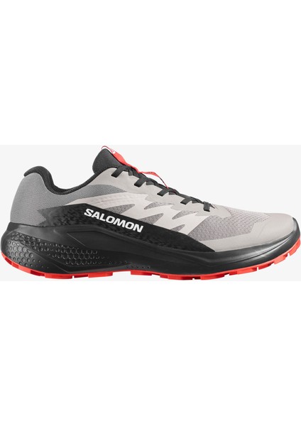 Salomon Alphaglıde Erkek Koşu Ayakkabısı Cloudburst L48000800