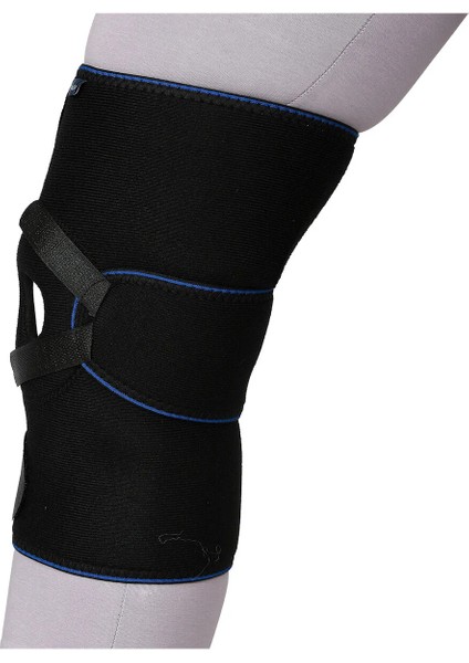 Dizlik Patella Ligament(Plastik Balen) fiyatları