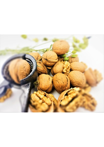Ceviz Maraş 18 (1 Kg) fiyatları