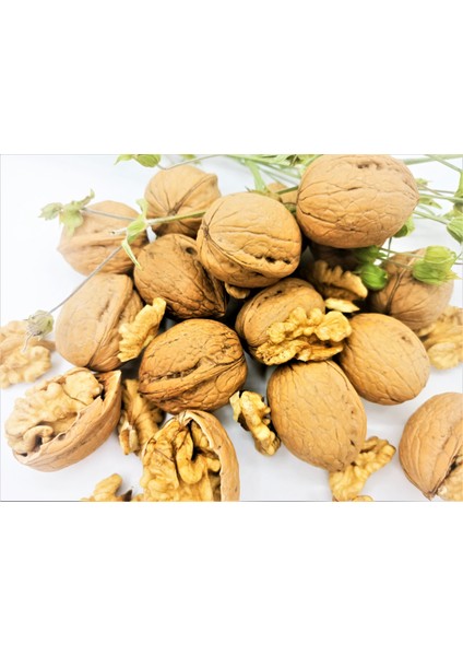 Ceviz Maraş 18 (1 Kg) modelleri