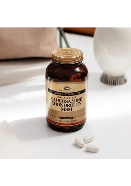 Glucosamine Chondroitin Msm 120 Tablet fiyatları