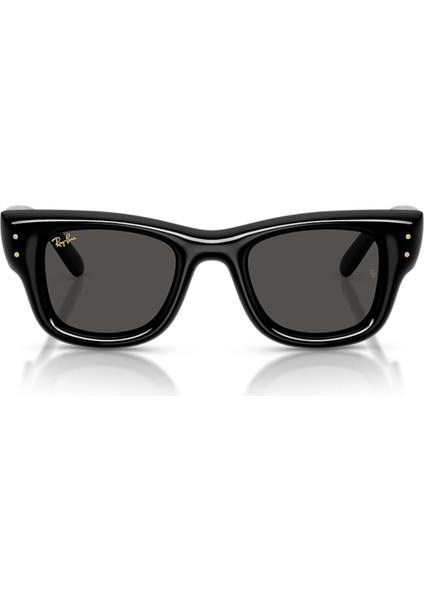 Ray-Ban Rayban 4940 601/87 47 Unisex Güneş Gözlüğü Fiyatı